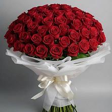 Букет 101 Красная роза Блэк Мэджик в Гаспре