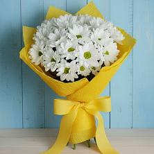 Букет цветов из:  Хризантемы в Гаспре