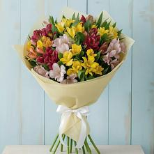 Букет цветов из:  Альстромерии #REPLACE_PRED# Гаспре
