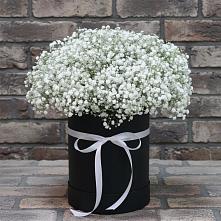 Цветочная композиция из Гипсофила в шляпной коробке в Гаспре